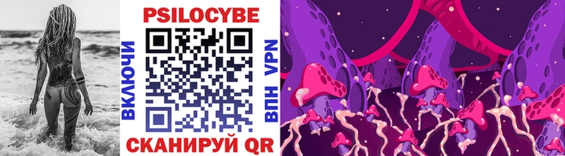Галлюциногенные грибы мицелий  где продают   Карачаевск 