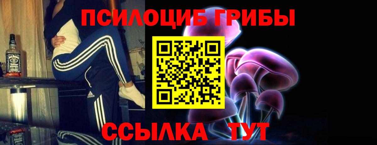 Галлюциногенные грибы Psilocybe  Вход с VPN  Карачаевск 