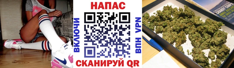 Канабис White Widow где купить наркоту Карачаевск